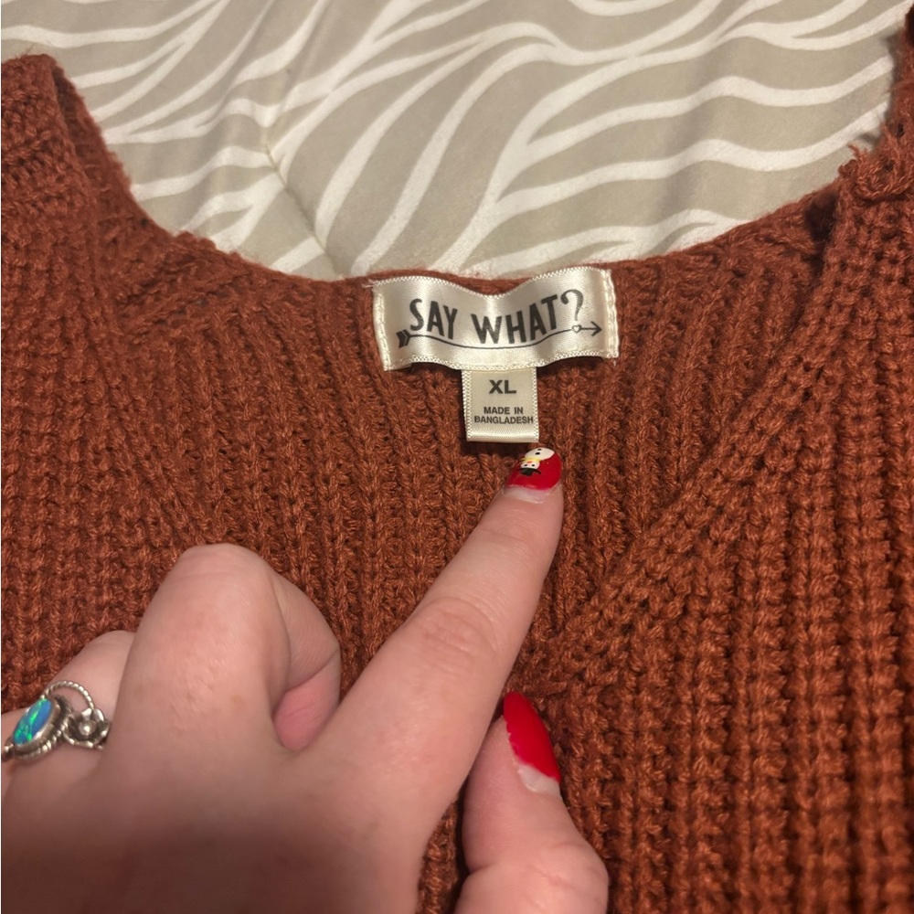 Say What? Women's V-Neck Sweater in Rust
